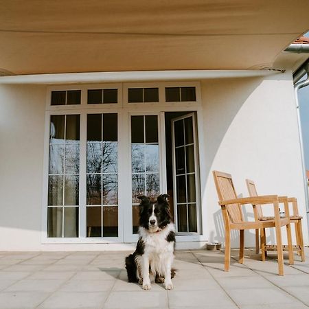 Chalets Franciska Major, Pro Village Sopronkovesd 외부 사진