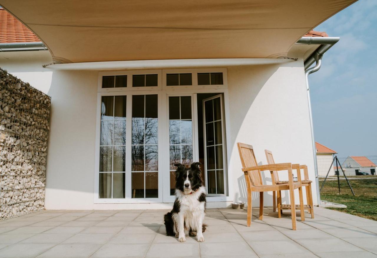 Chalets Franciska Major, Pro Village Sopronkovesd 외부 사진